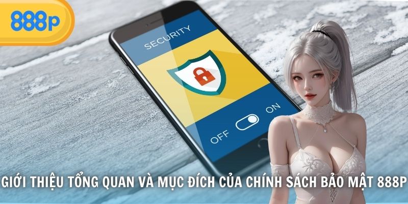 Giới thiệu tổng quan và mục đích của chính sách bảo mật 888P